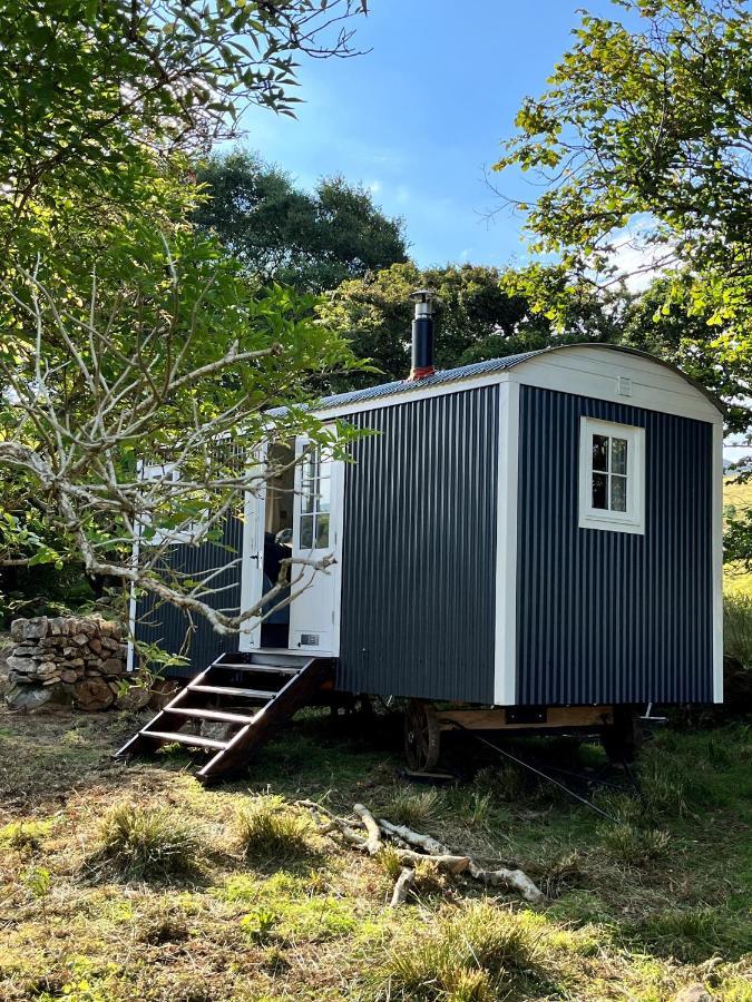 The Hazel Hut Βίλα Γουέστπορτ Εξωτερικό φωτογραφία